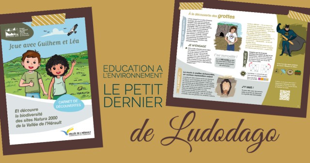 Mon projet-1