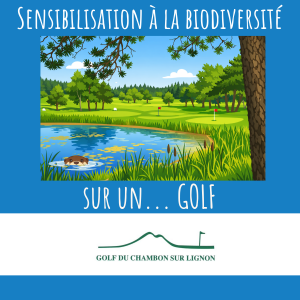 golf chambon