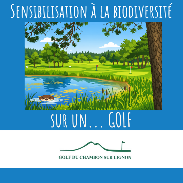 golf chambon