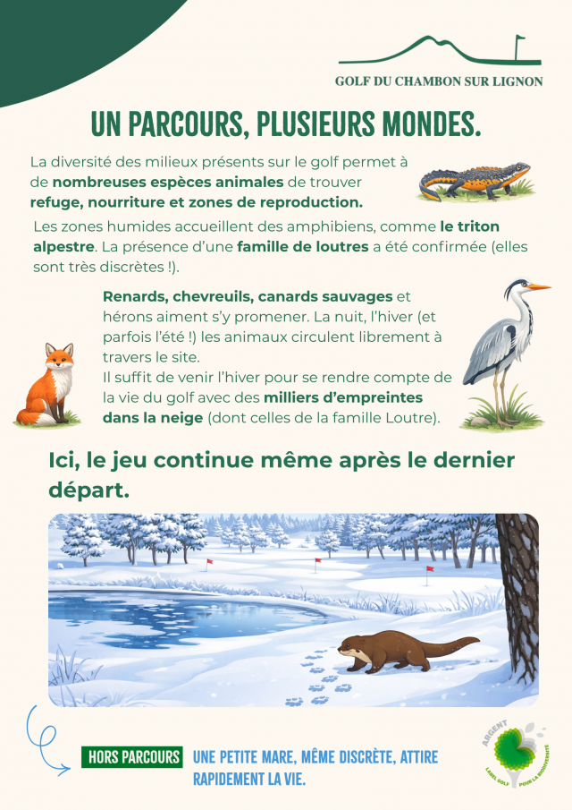 habitat et faune A2 (2)