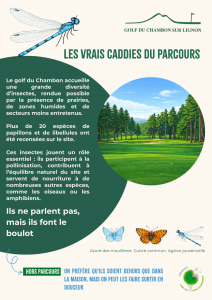 habitat et faune A2 (3)