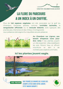 habitat et faune A2 (4)